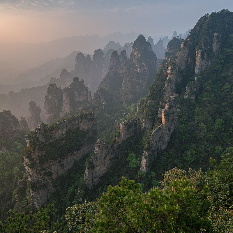 Book Trip to Shandong